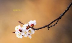 在這春暖花開的季節，歡迎你們加入知道網絡
