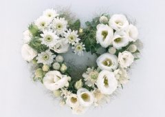 5.12 | 國際護(hù)士節(jié)，預(yù)祝5.14 | 母親節(jié)快樂！