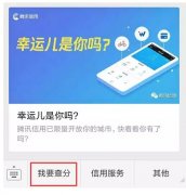 騰訊信用分全國(guó)公測(cè)，查了一下之后懵逼了。。