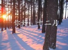 抓住2016年的尾巴給自己充充電！12月，加油！